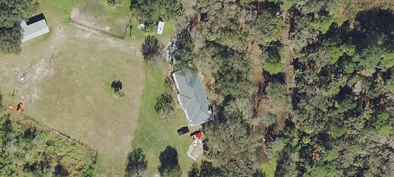 Palmetto Land Opportunity