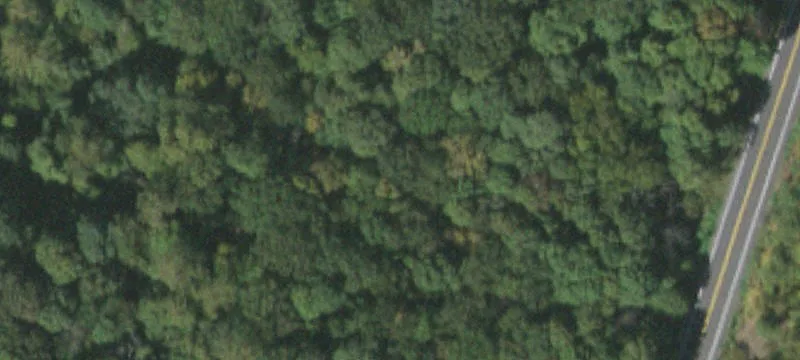 Subdividable 7.7-Acre Parcel