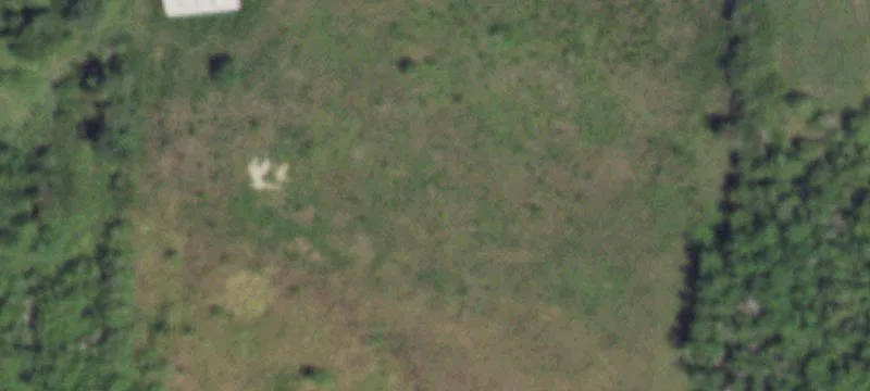 Spacious Residential Lot in Texas