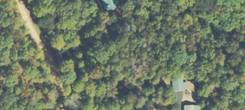 North Georgia Poultry Farm