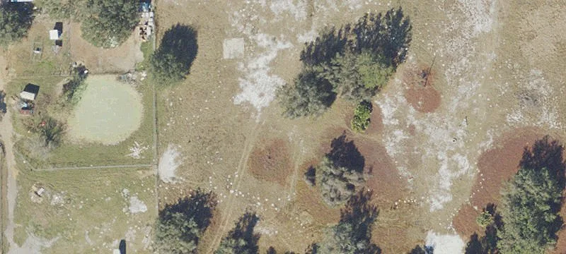 99.86 Acres in Horizon West