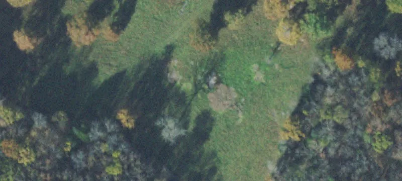 104.82 Acres in Wilson County