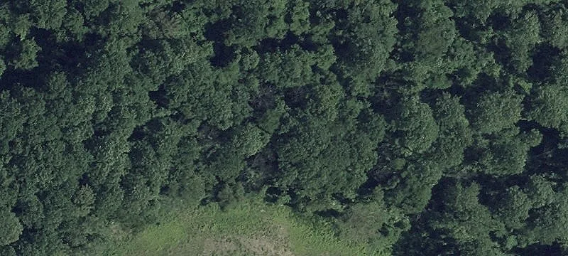 Expansive Lot in Baltimore County