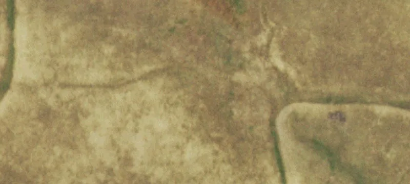 Buildable Land Near Black Forest