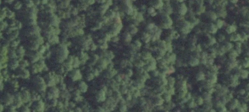 Prime Commercial Tract in New Caney
