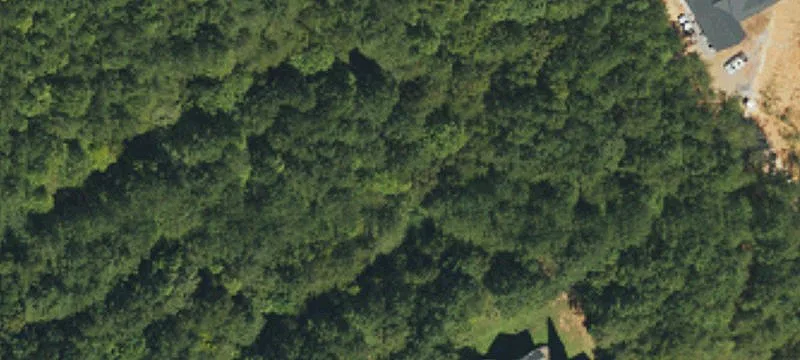 Lake Norman Waterfront Acreage