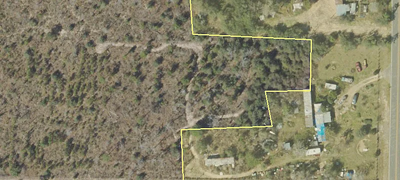 153 Acres of Timberland