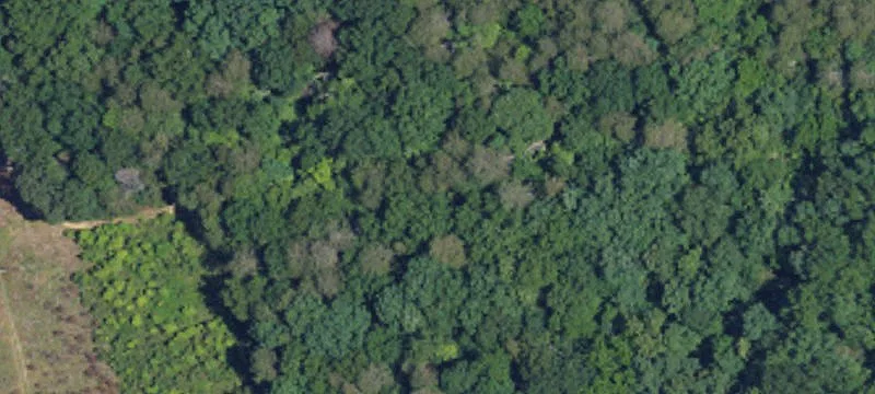 Highway 64 Corridor Acreage Opportunity