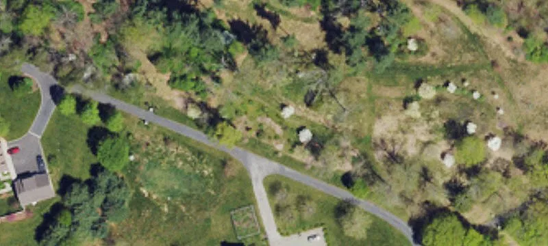 Wooded Land Parcel Near Creek