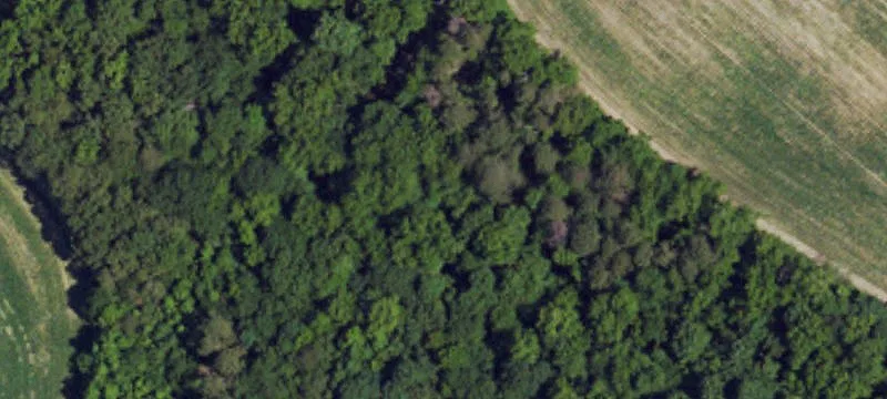 Residential Land in Growing Area