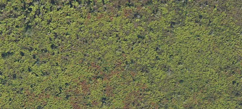 Land for Mobile Home, RV