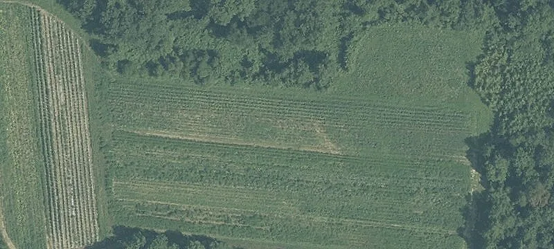 Residential Land Near Route 9