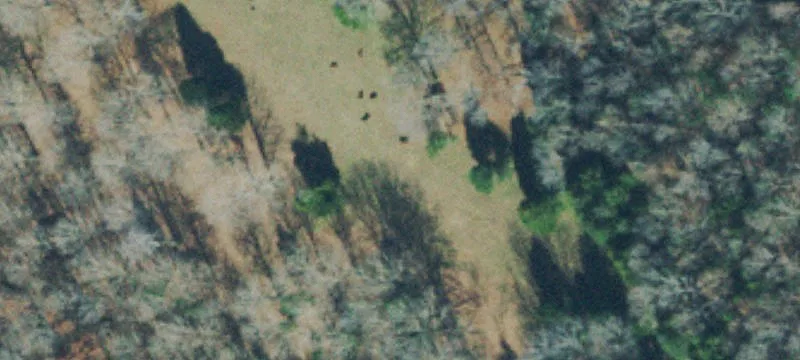 Dickson Land with Hunting Potential