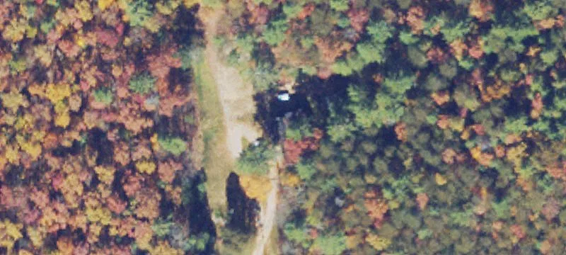 Wooded Acreage with Rustic Cabin