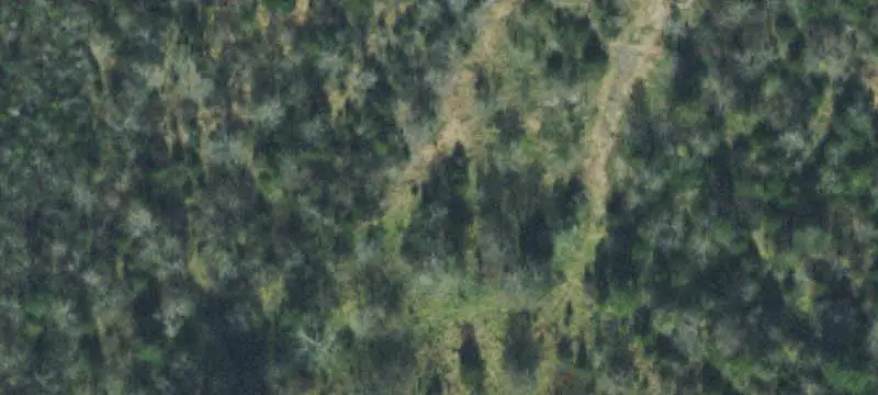 Brentwood Homesites: Acreage for Custom Homes