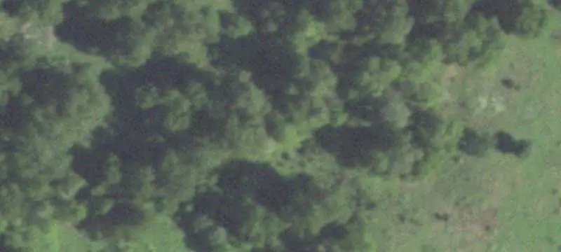 Sugar Land 5-Acre Land Tract
