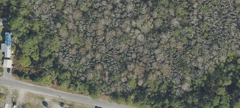 Residential Land Near Panama City Beach