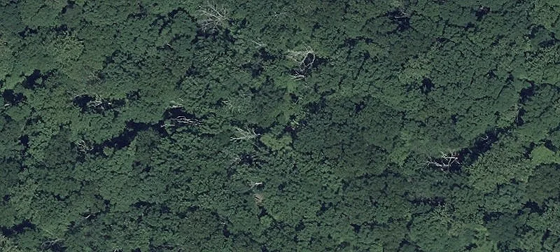 130+ Acre Belfast Valley Land