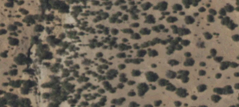 Forty Acre View Lot