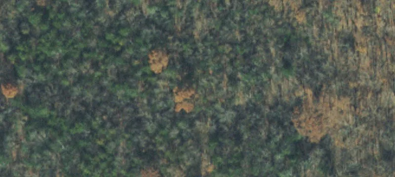 Arrington Land with Southern Views