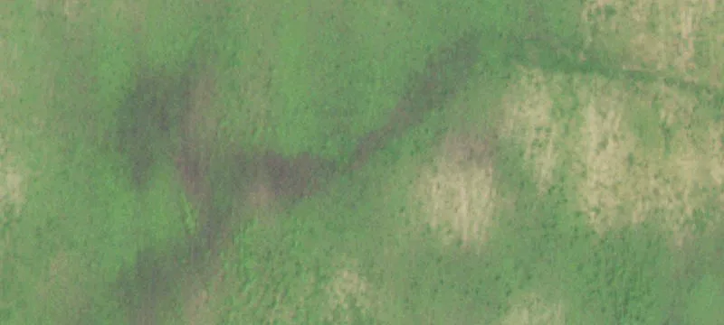 50 Acres with Solar Farm