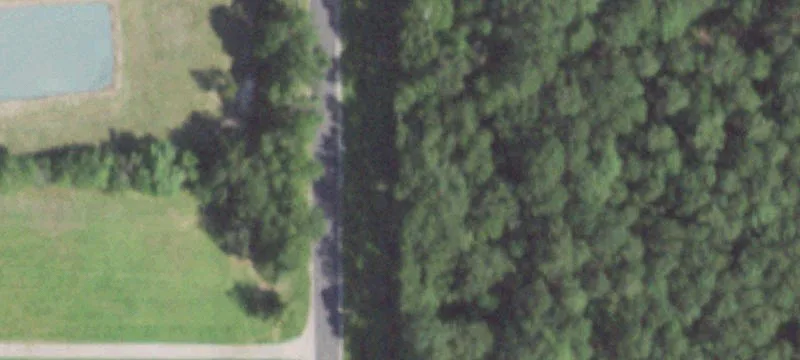 Anahuac Land Ideal for Homestead