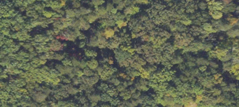 Unrestricted Land Near Bear Mountain
