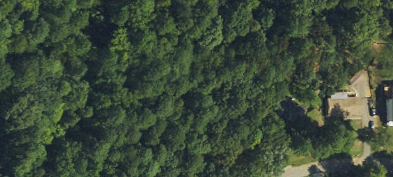 Wooded Lot in North Raleigh