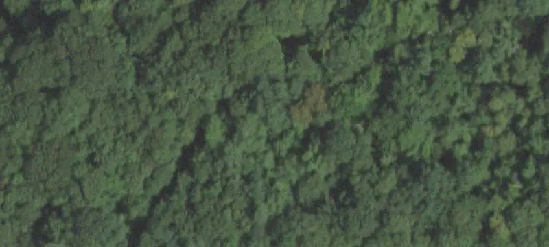 Wooded Land Parcel in Westchester