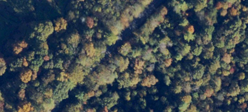 114.6 Acres Yadkin River Frontage