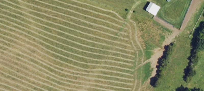 Land with Spring-Fed Pond