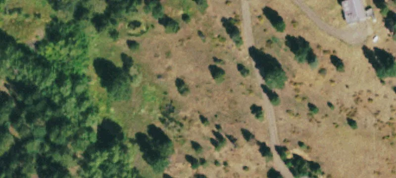 Magnolia Land Opportunity Near Boulder