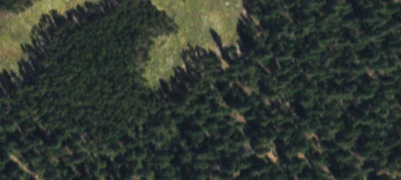Colorado Foothills Mountain Retreat Land