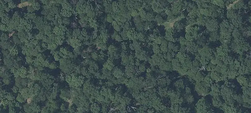 Wooded Lot Ready to Build