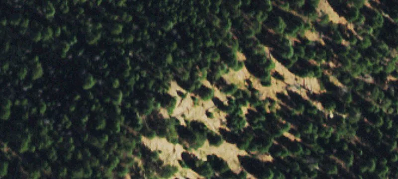 Residential Lot in Gated Community