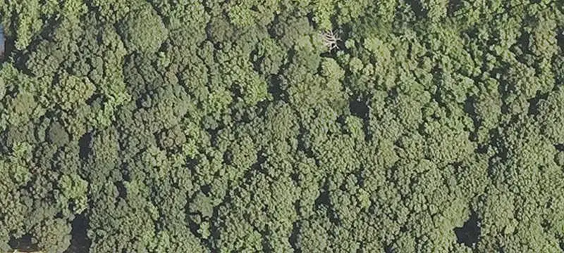 Undeveloped Land Parcel For Sale