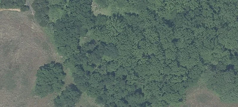 25 Acre Lot in Germantown