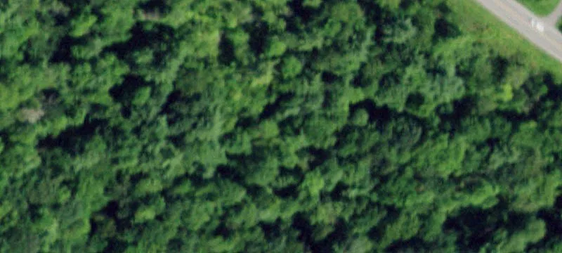 Land in Prime Location