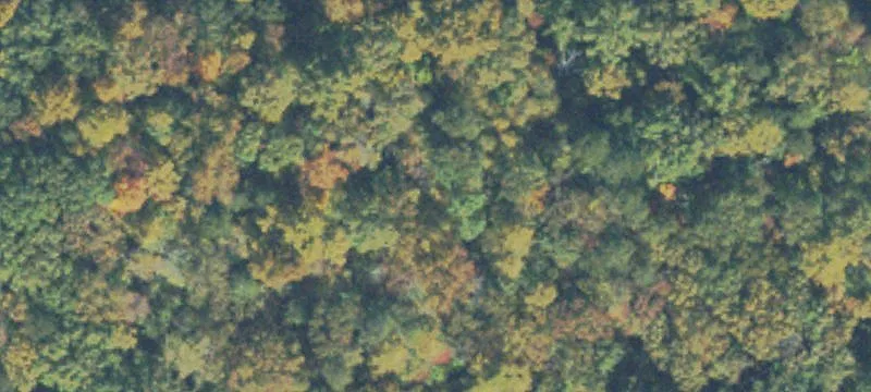 Secluded Land Tract Near Reservoir