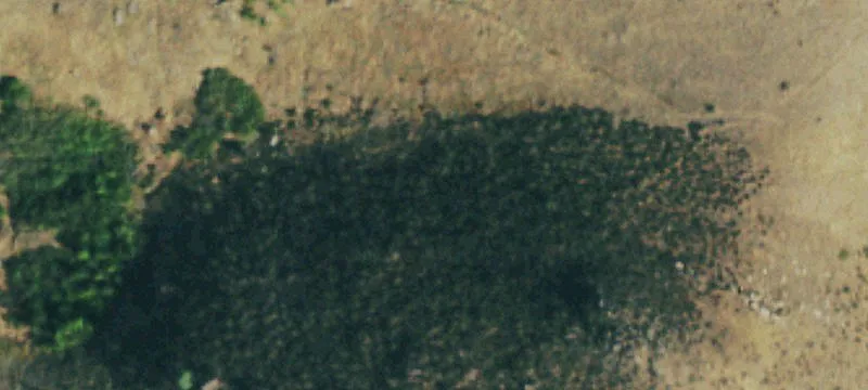 119 Acres on Buckhorn Road