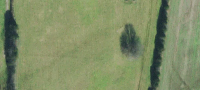 Nolensville Acreage with Building Potential