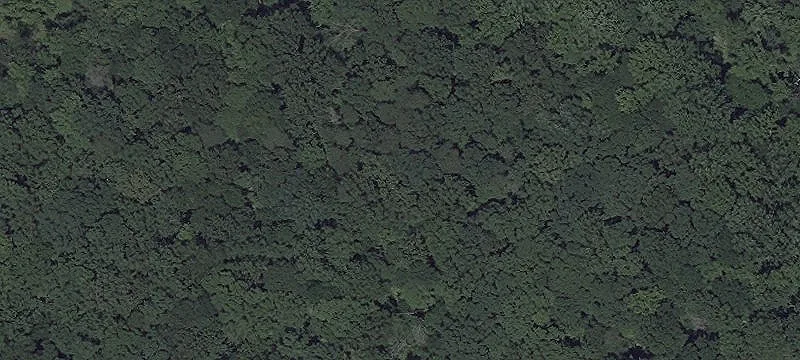 30+ Acres Near Washington D.C.