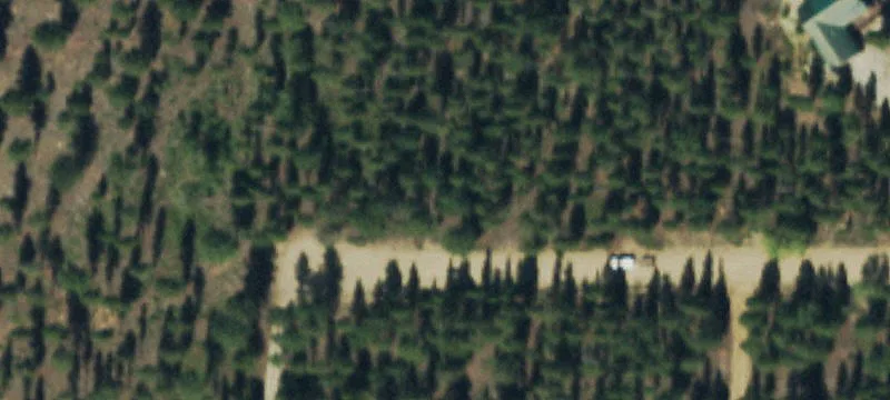 San Isabel Forest Treed Lot