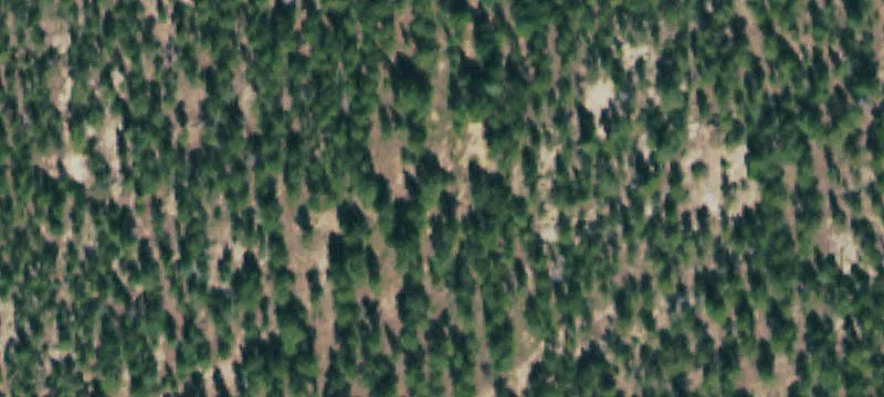 Land Near Rocky Mountain Park