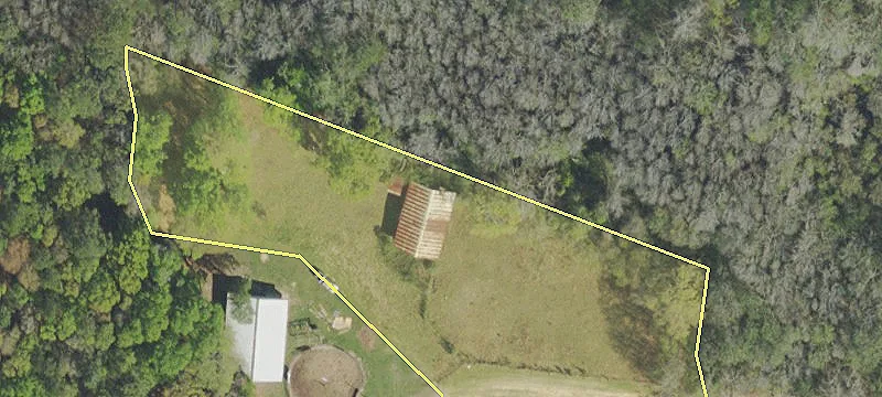 Overgrown Farm Property For Sale