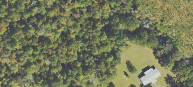 29+ Acres with Workshop & Pond