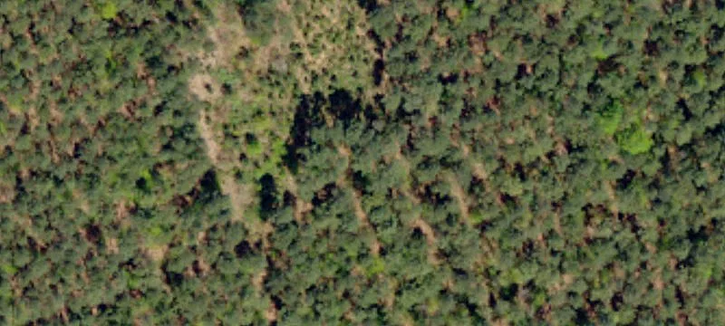 31 Acres of Wooded Land