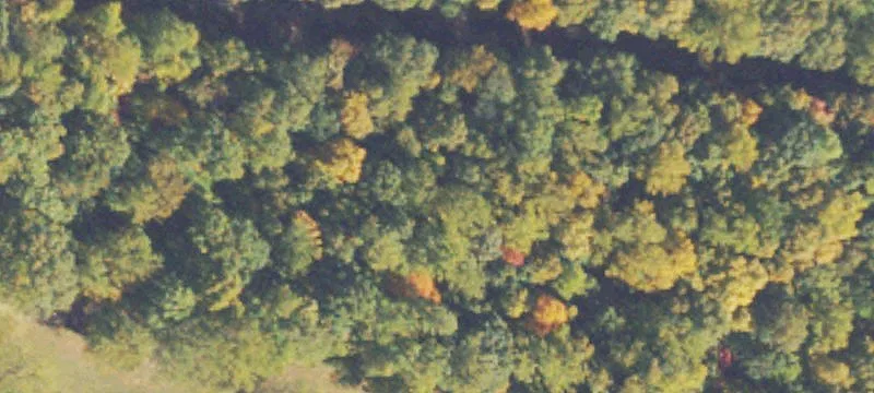 Residential Land with Subdivision Potential