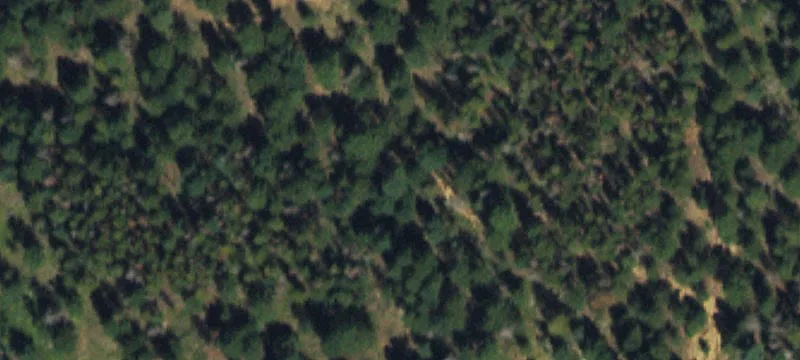 Colorado Mountain Estate Land Parcel