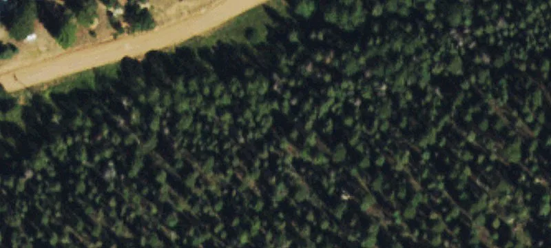 Wooded Lot in Mountain Neighborhood